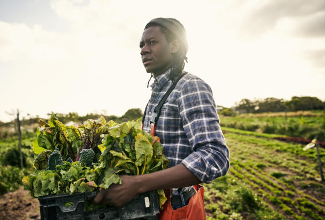 The U.S. Agriculture Department's Discriminatory Practices Could Be Why Black Farmers Are Going Extinct