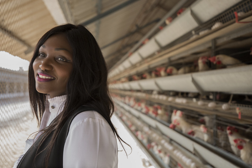 One Of The Biggest Poultry Production Companies In Africa Is Run By A 35-Year-Old Senegalese Woman