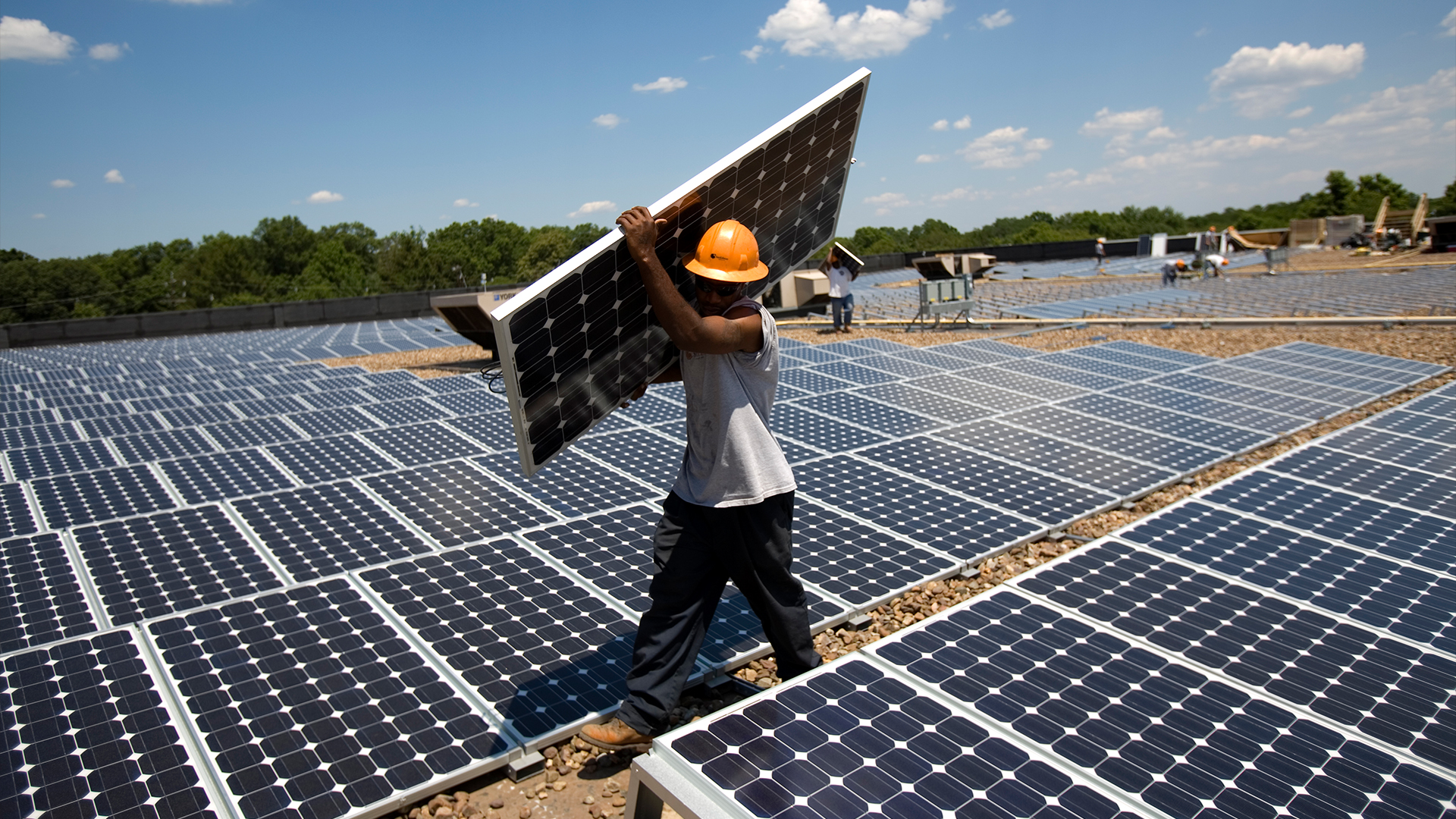 Will A Solar Farm Harm The Black Community In Archer, Florida? Residents & Experts Weigh In