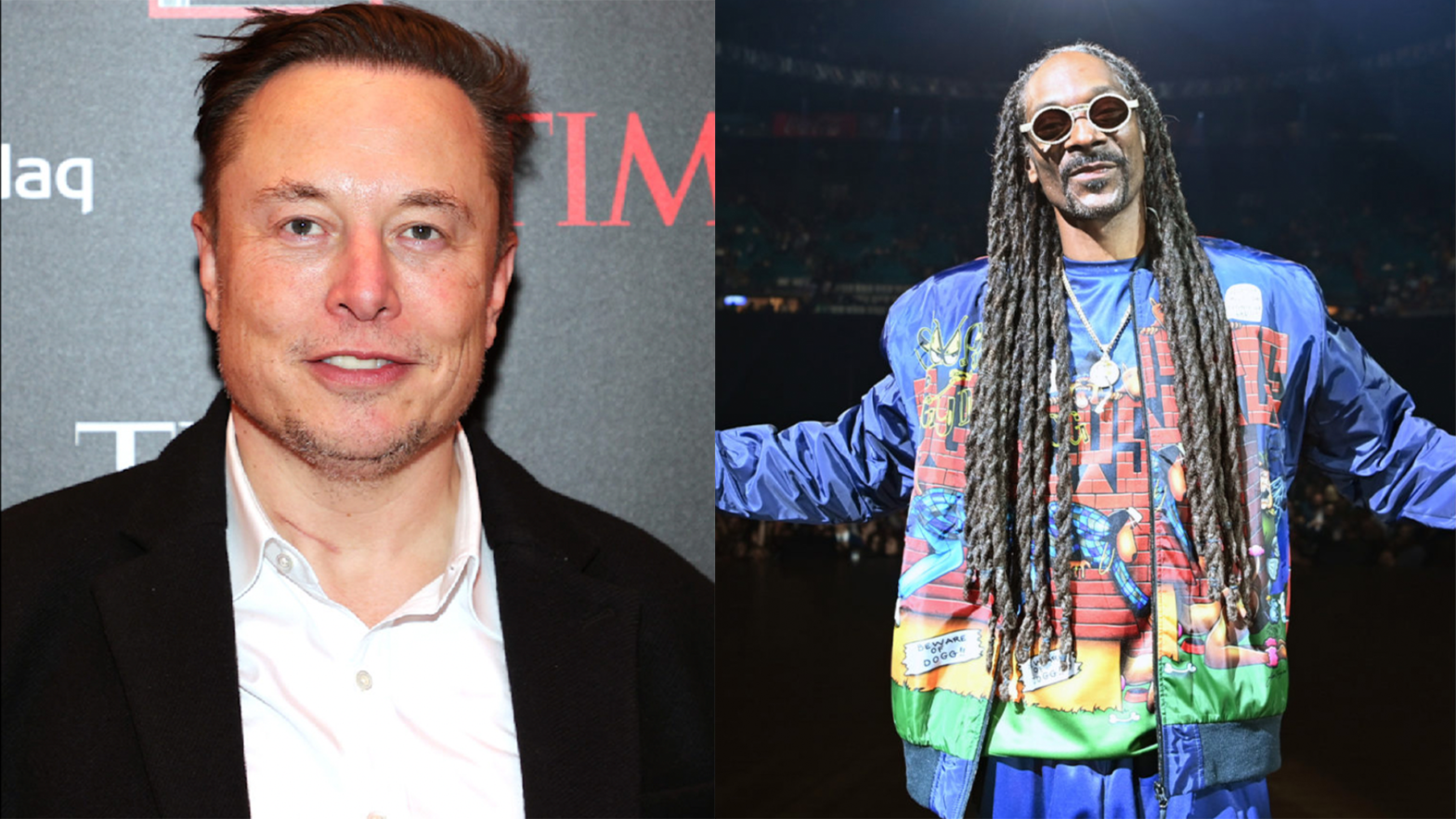 Elon Musks Asks If He Should Step Down From Twitter, Then Snoop Dogg Asks, 'Should I Run Twitter?'