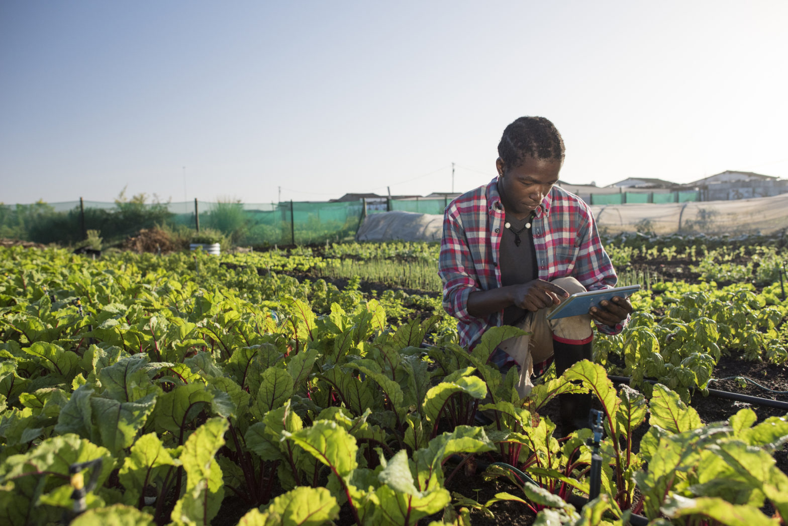 Youth African Agritech Innovators Receive $1.5M Investment To Accelerate Agriculture Across Africa