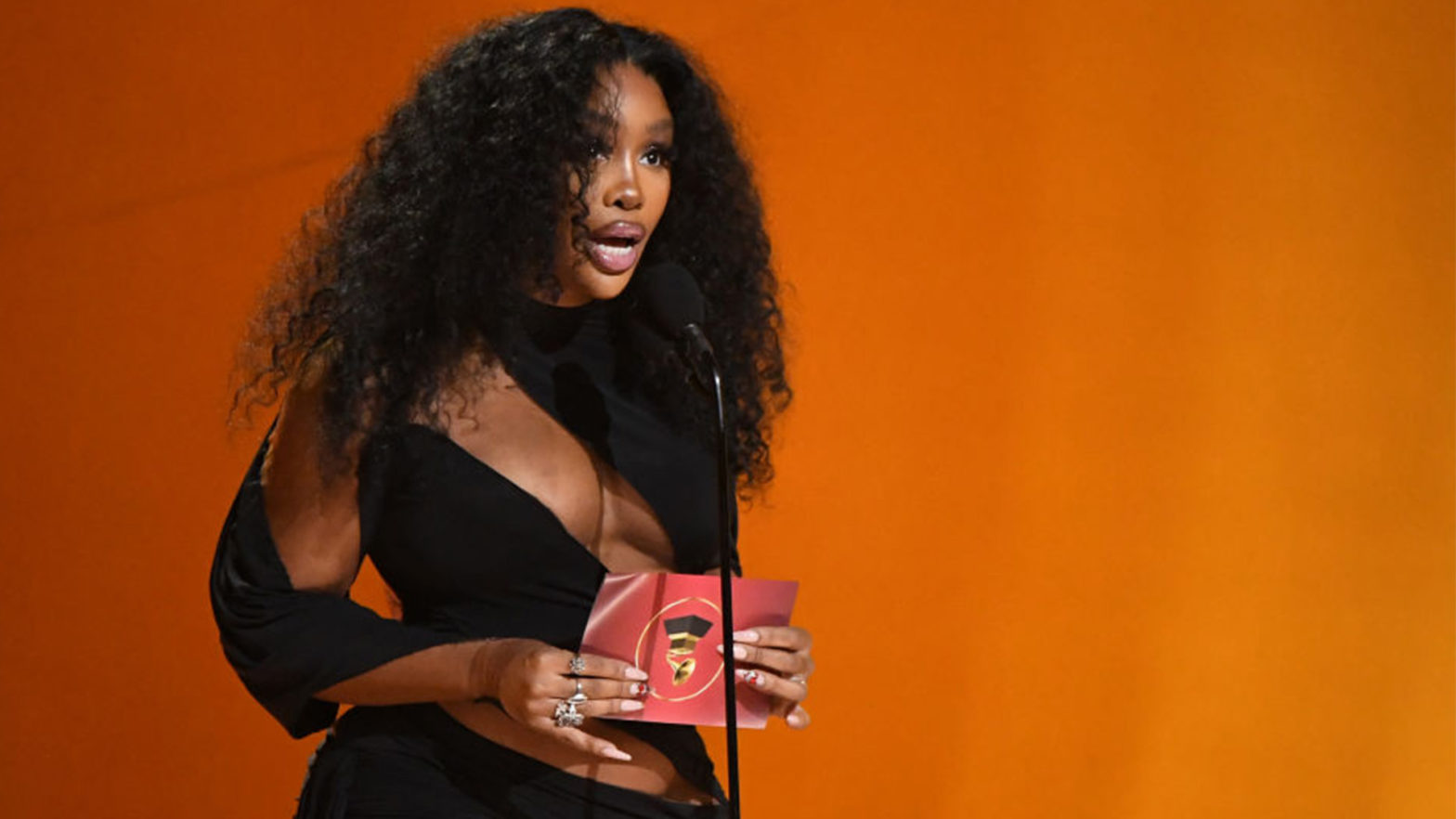 Before The Fame, Did SZA Almost Become A Marine Biologist?