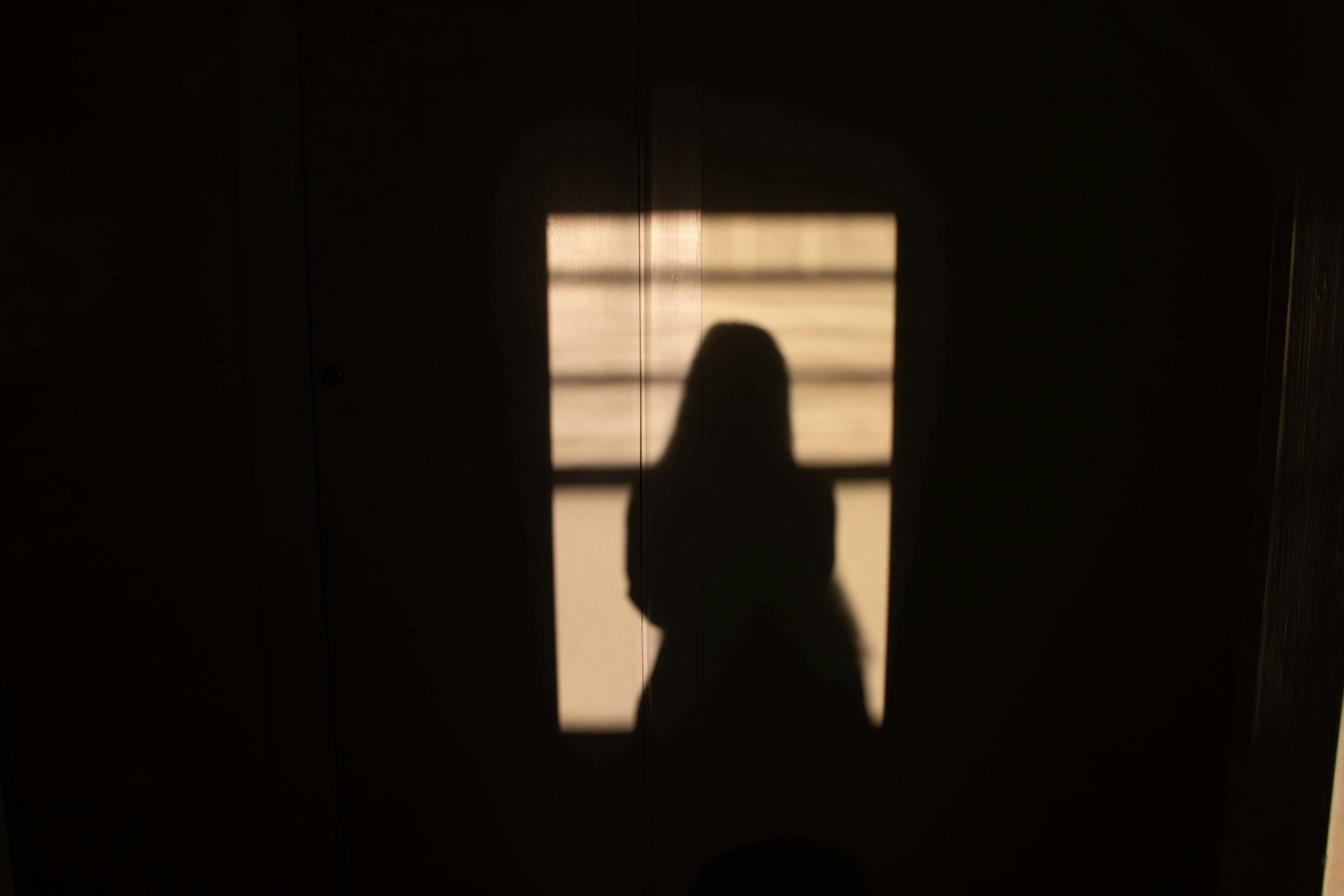 Is Shadow Work The Secret To Personal And Professional Success
