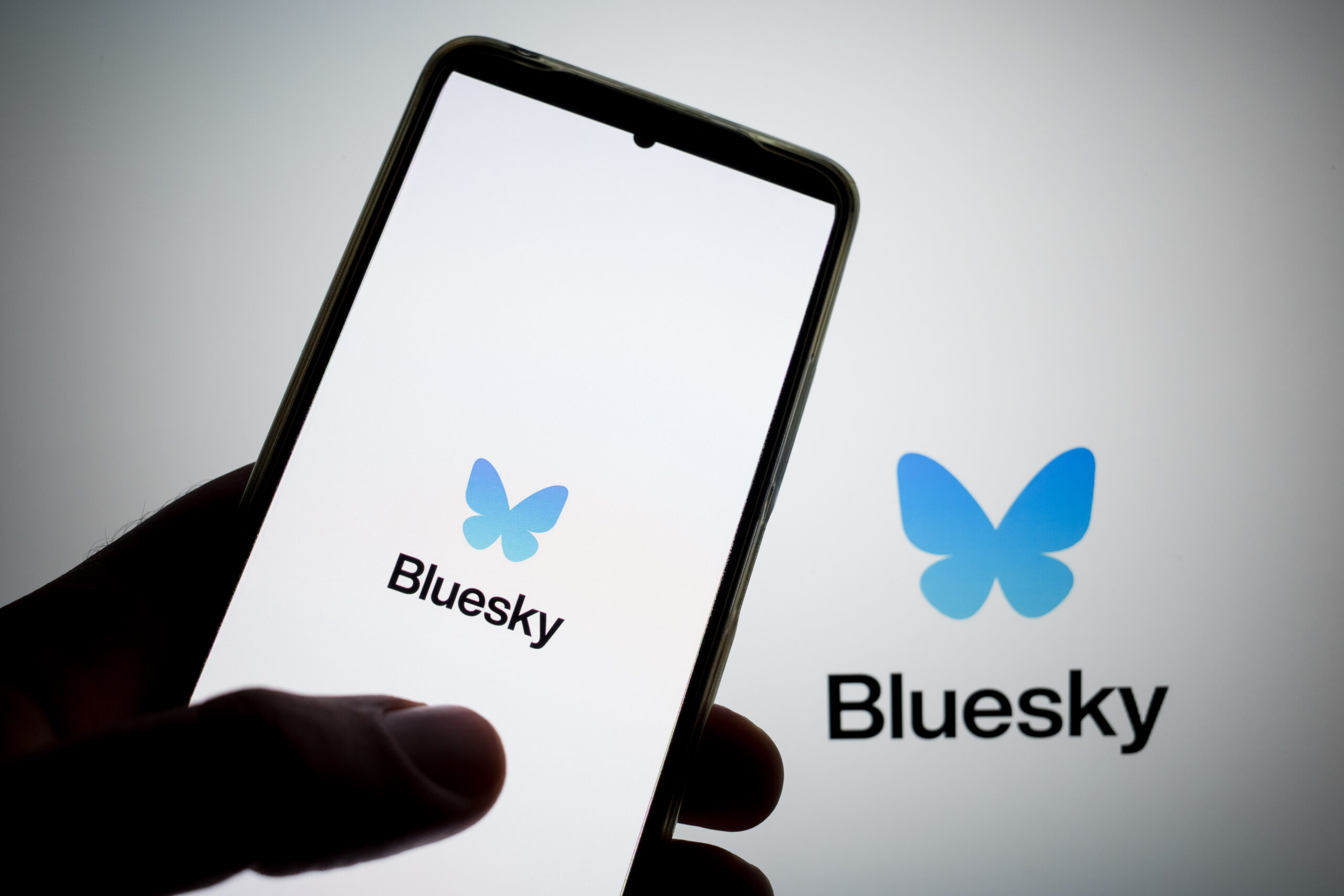 Over 1M Sign Up On Bluesky Since US Presidential Election As Users Seek Alternatives To Elon Musk's X