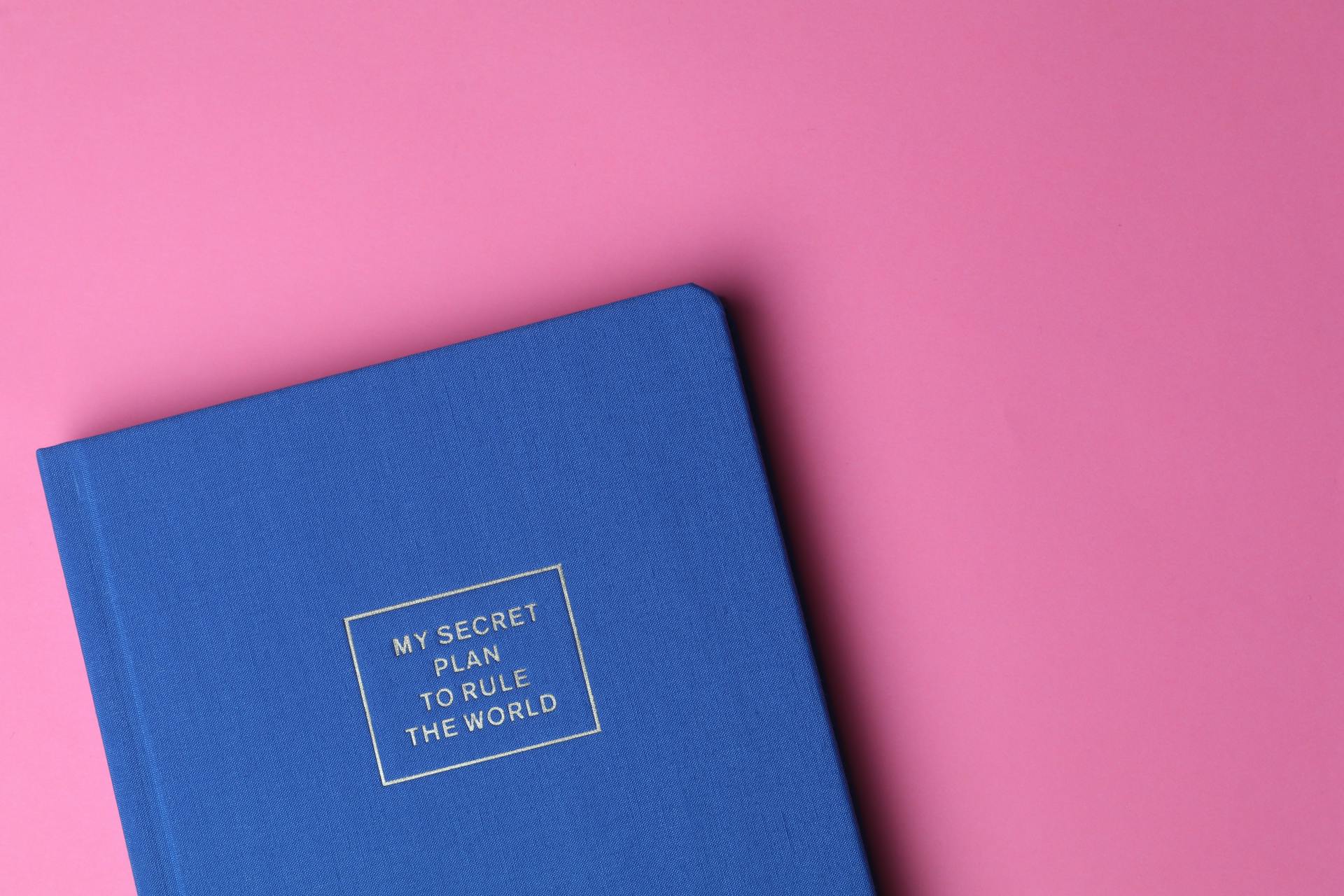 "My Secret Plan to Rule the World" printed on a blue book with a pink background